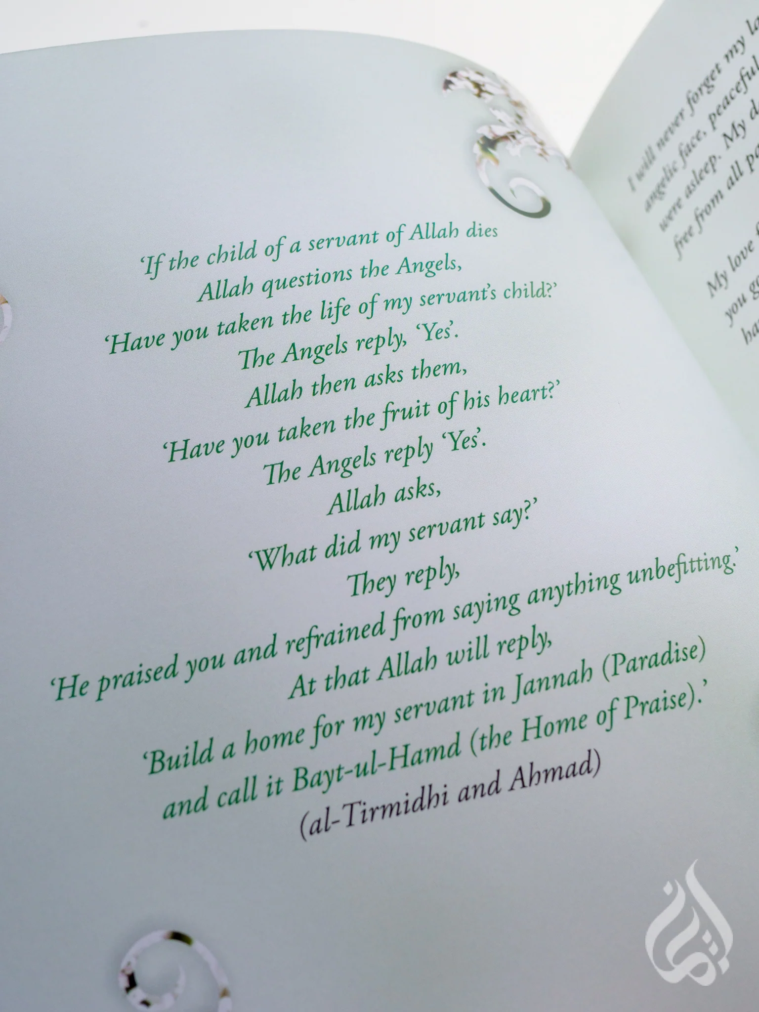 A Gift for the Bereaved Parent - Image 3