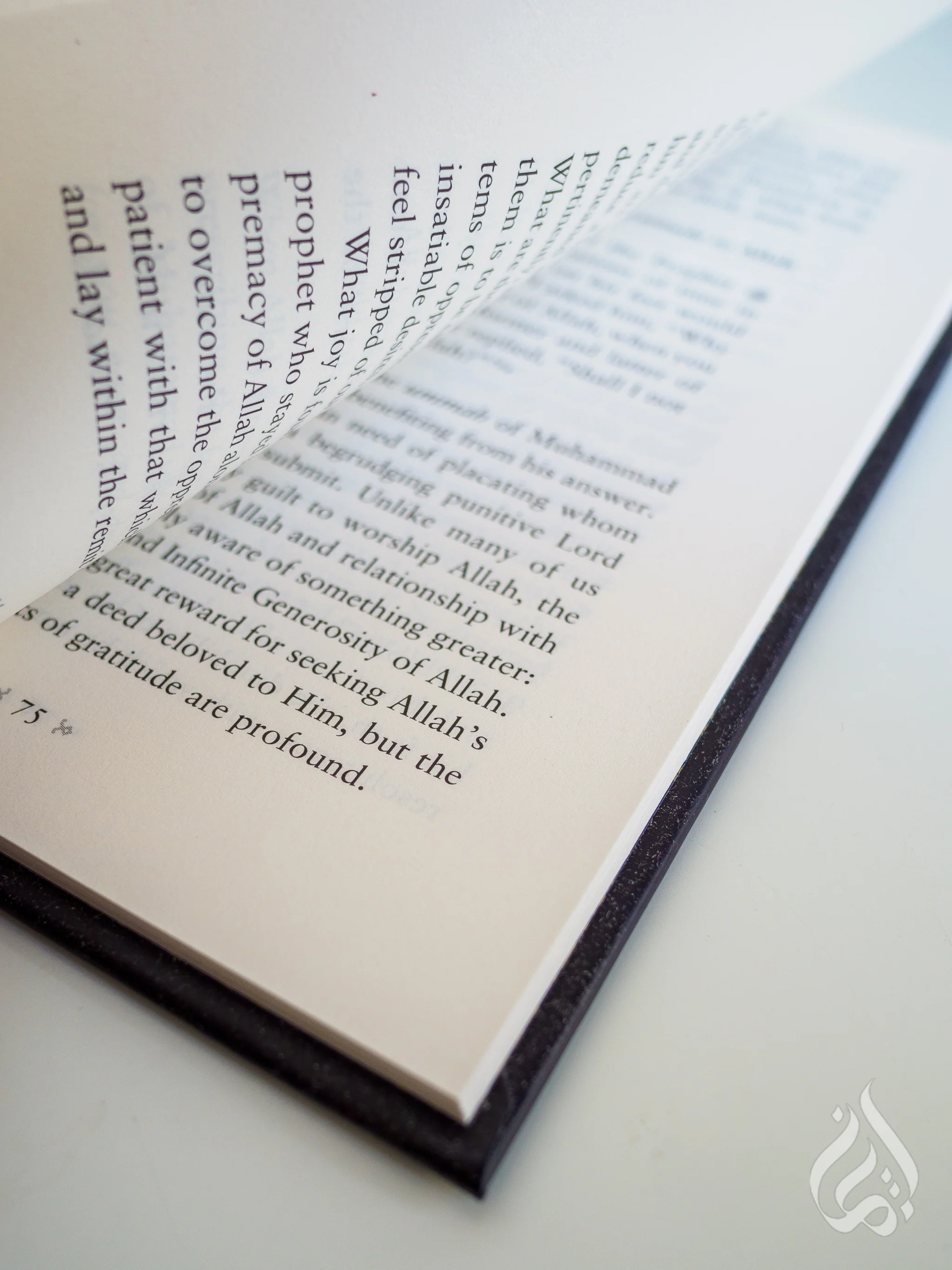 A Treasury of Aisha - A Guidance from the Beloved of the Beloved - Image 3