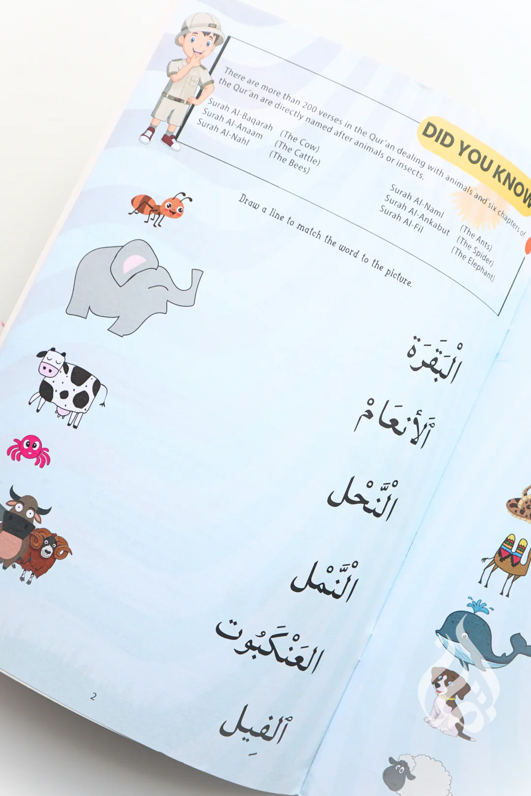 Animals in the Qur'an - Activity Book - Image 2