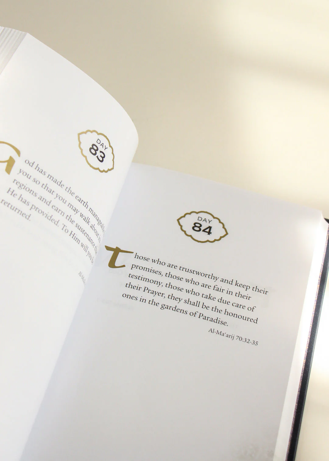 Daily Wisdom Bundle - Image 8