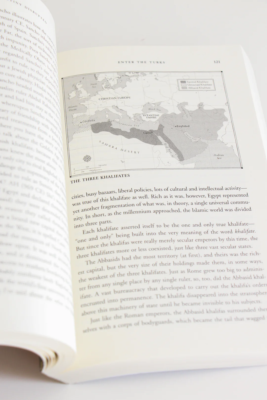 Destiny Disrupted: A History of the World Through Islamic Eyes by Tamim Ansary - Image 4