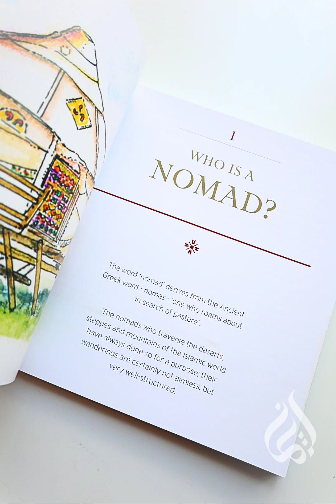 Encounters with Muslim Nomads: The Wandering People who have Shaped the Islamic World - Image 3