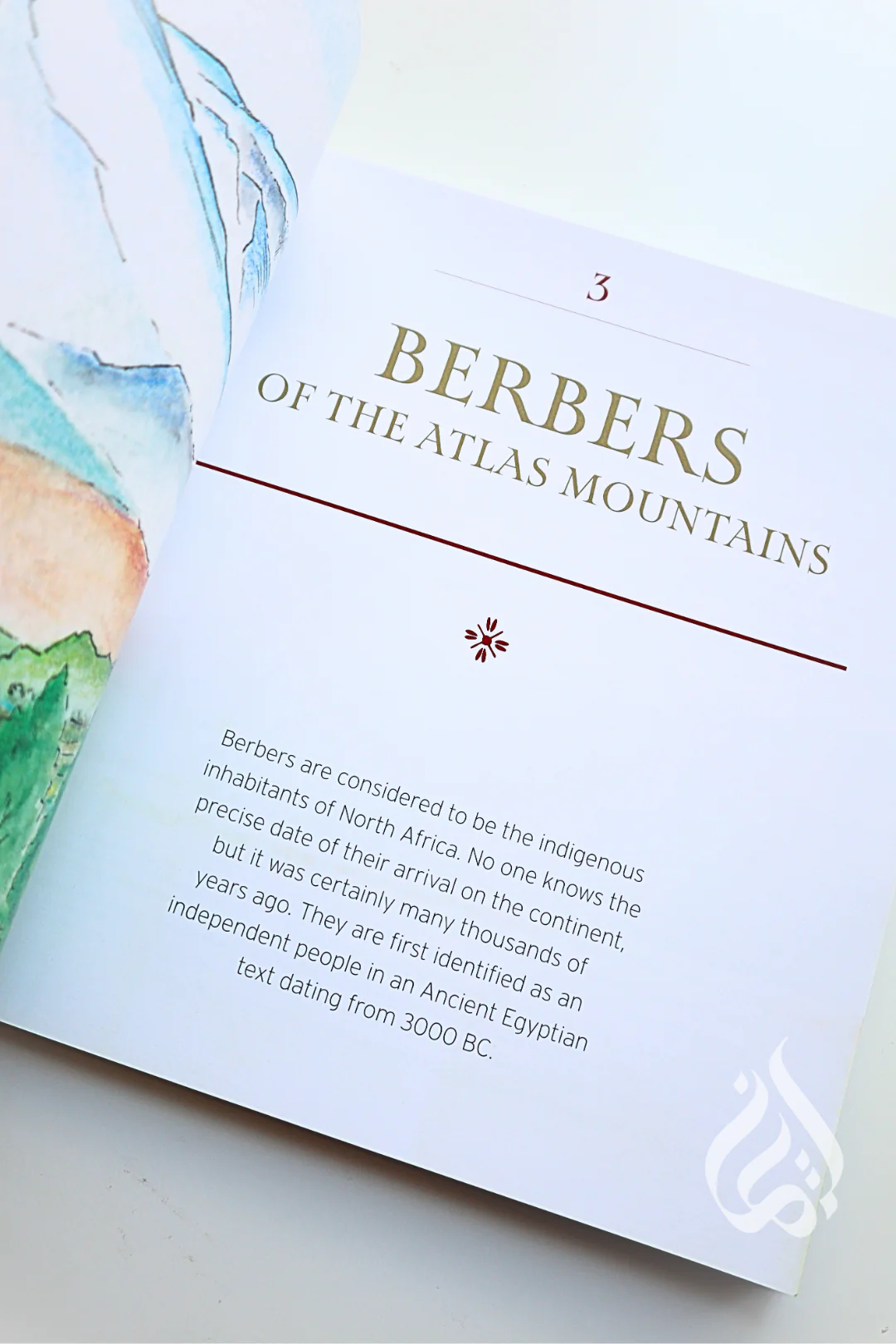 Encounters with Muslim Nomads: The Wandering People who have Shaped the Islamic World - Image 4