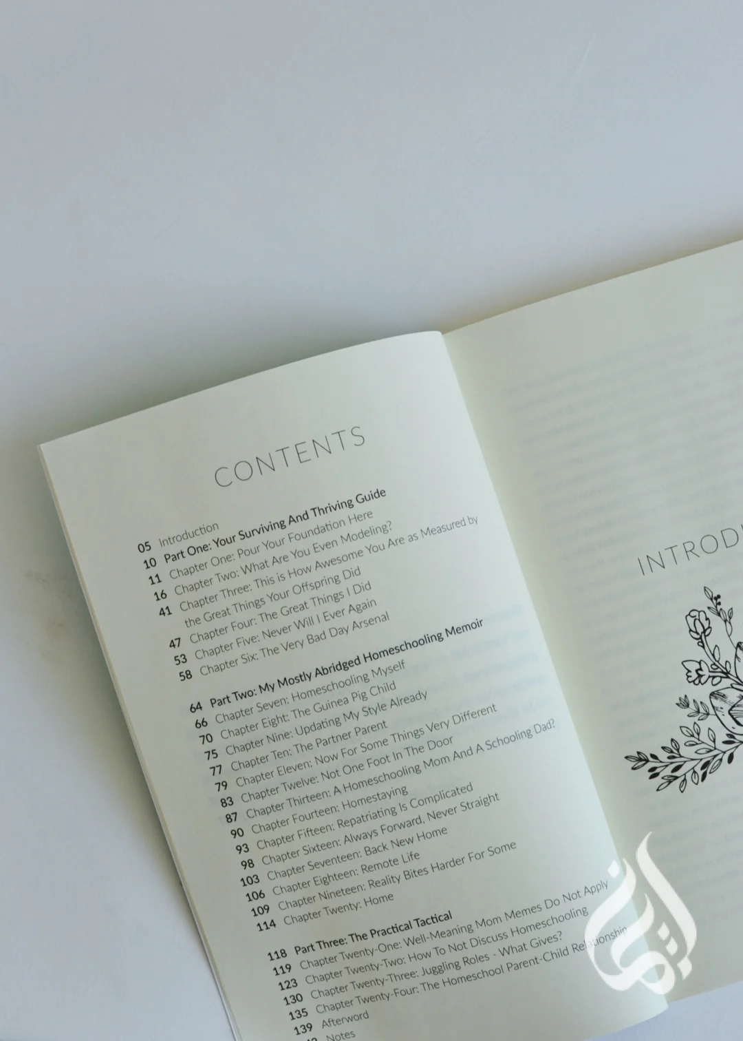 How to Survive Homeschooling by Brooke Benoit - Image 3