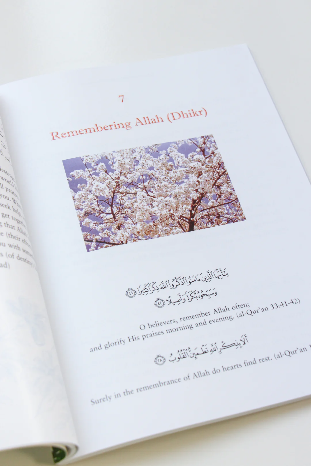 In the Prophet's Garden: A Selection of Hadith for the Young by Fatima M D’Oyen and Abdelkader Chachi - Image 3
