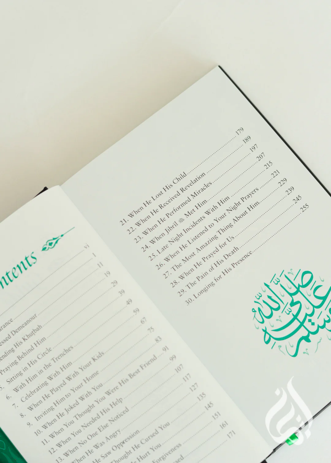 Meeting Muhammad PBUH by Omar Suleiman - Image 2