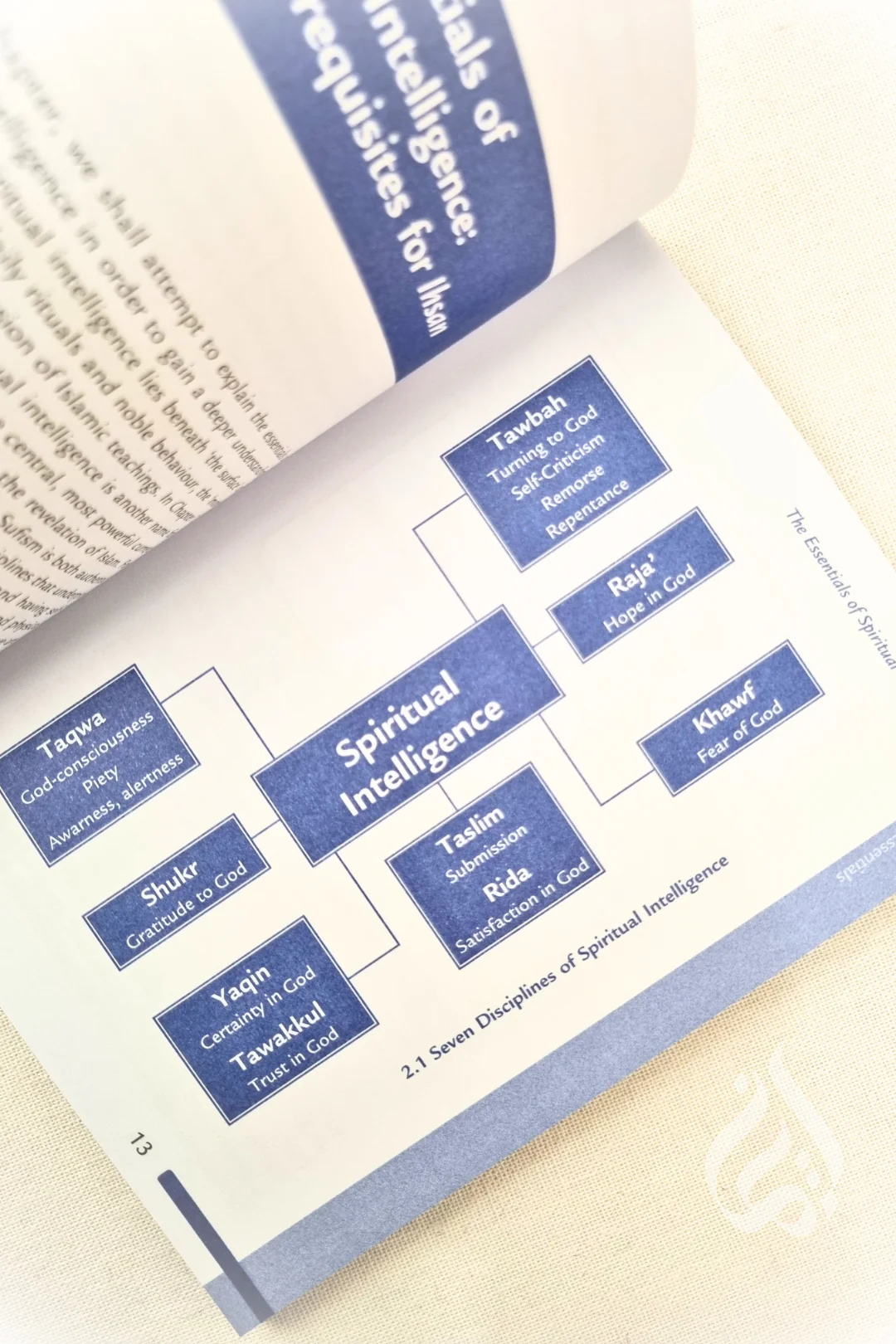 Seven Steps to Spiritual Intelligence: Based on Classical Islamic Teachings - Image 4