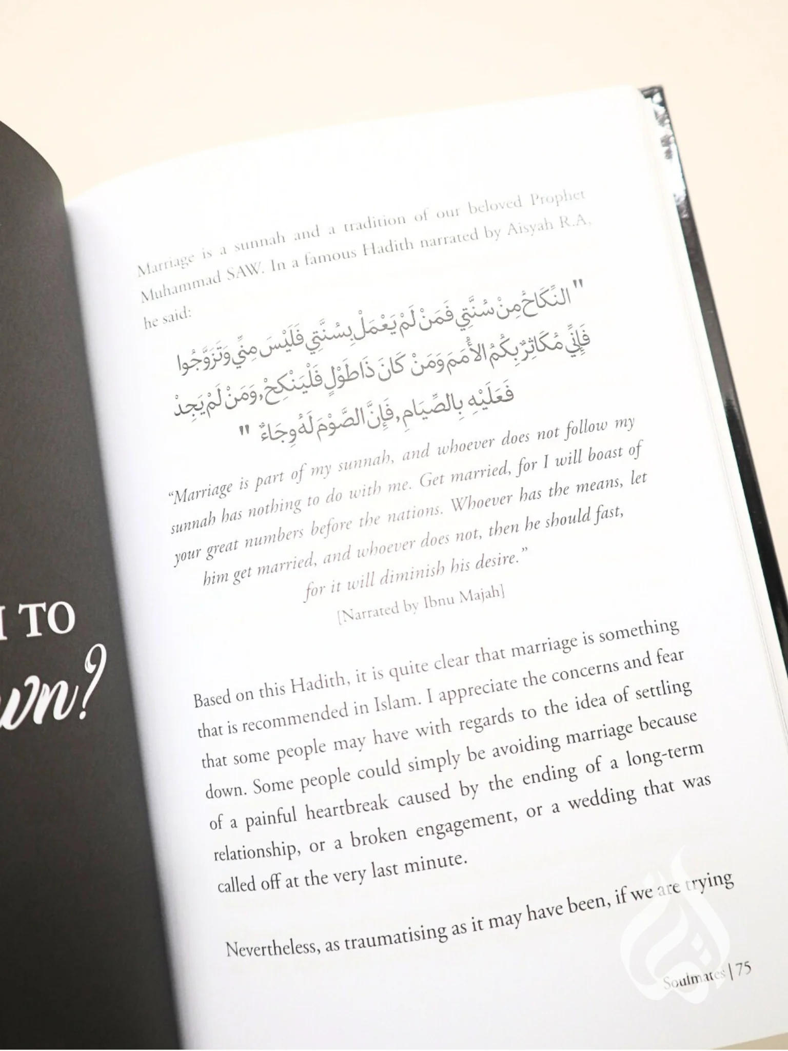 Soulmates: The Quest for Meaningful Relationships by Mizi Wahid - Image 6
