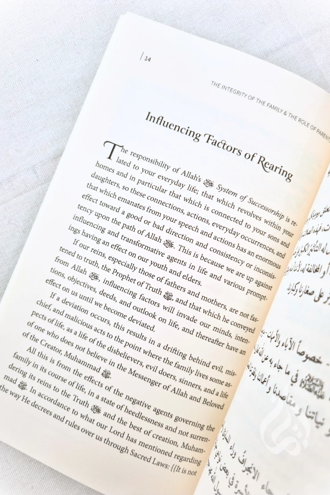 The Integrity of the Family & the Role of Parents (English & Arabic) - Image 4