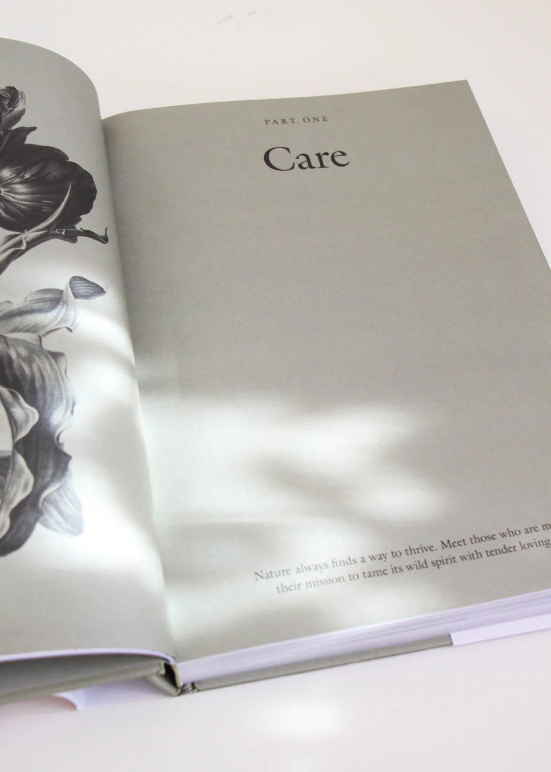 The Kinfolk Garden: How to Live with Nature by John Burns - Image 3