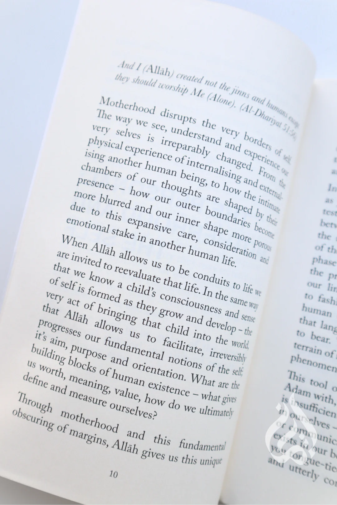 The Muslim (M)other: Social & Political Commentary on Contemporary Muslim Motherhood - Image 3