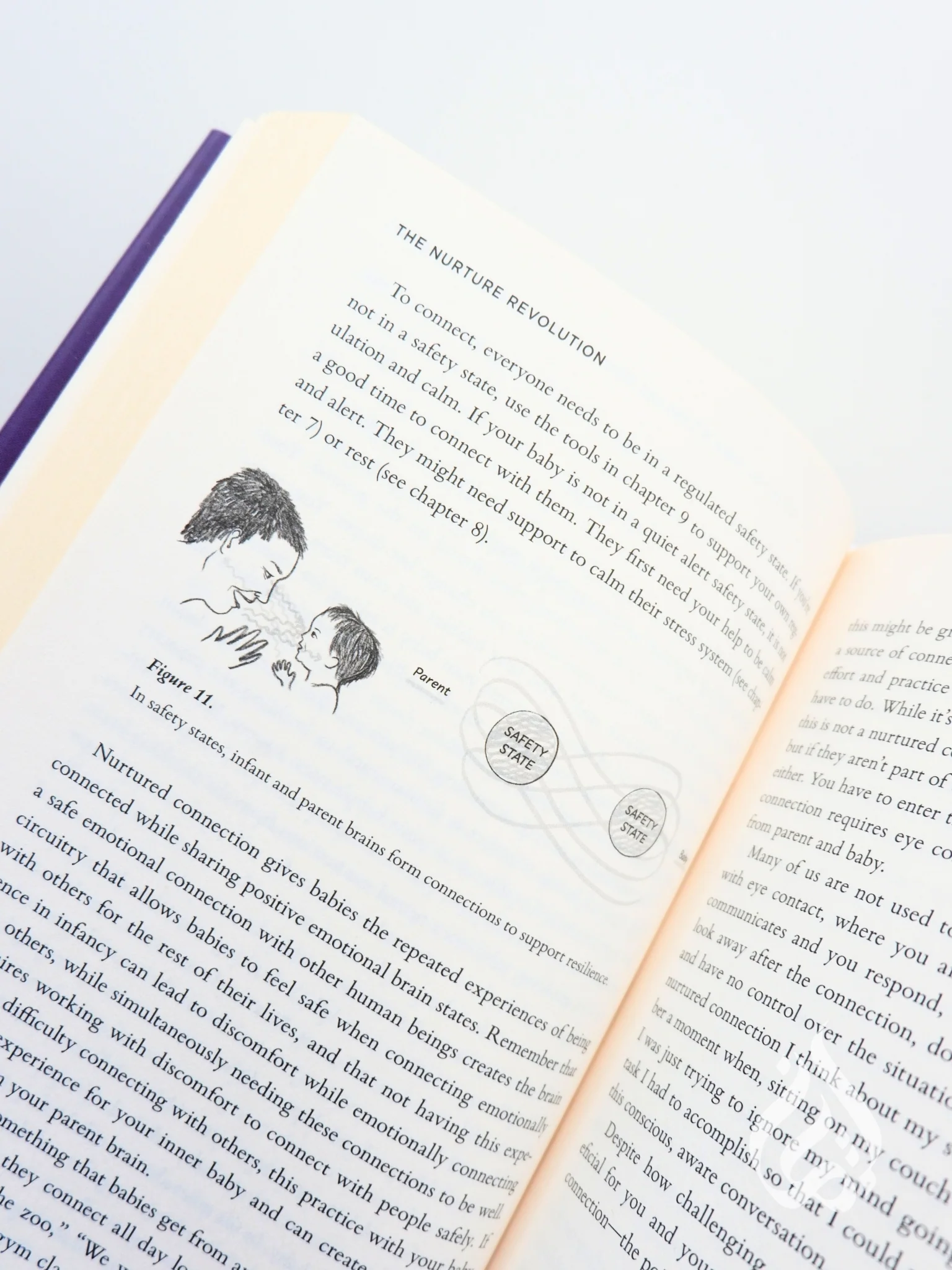 The Nurture Revolution: Grow Your Baby's Brain and Transform Their Mental Health Through the Art of Nurtured Parenting - Image 6
