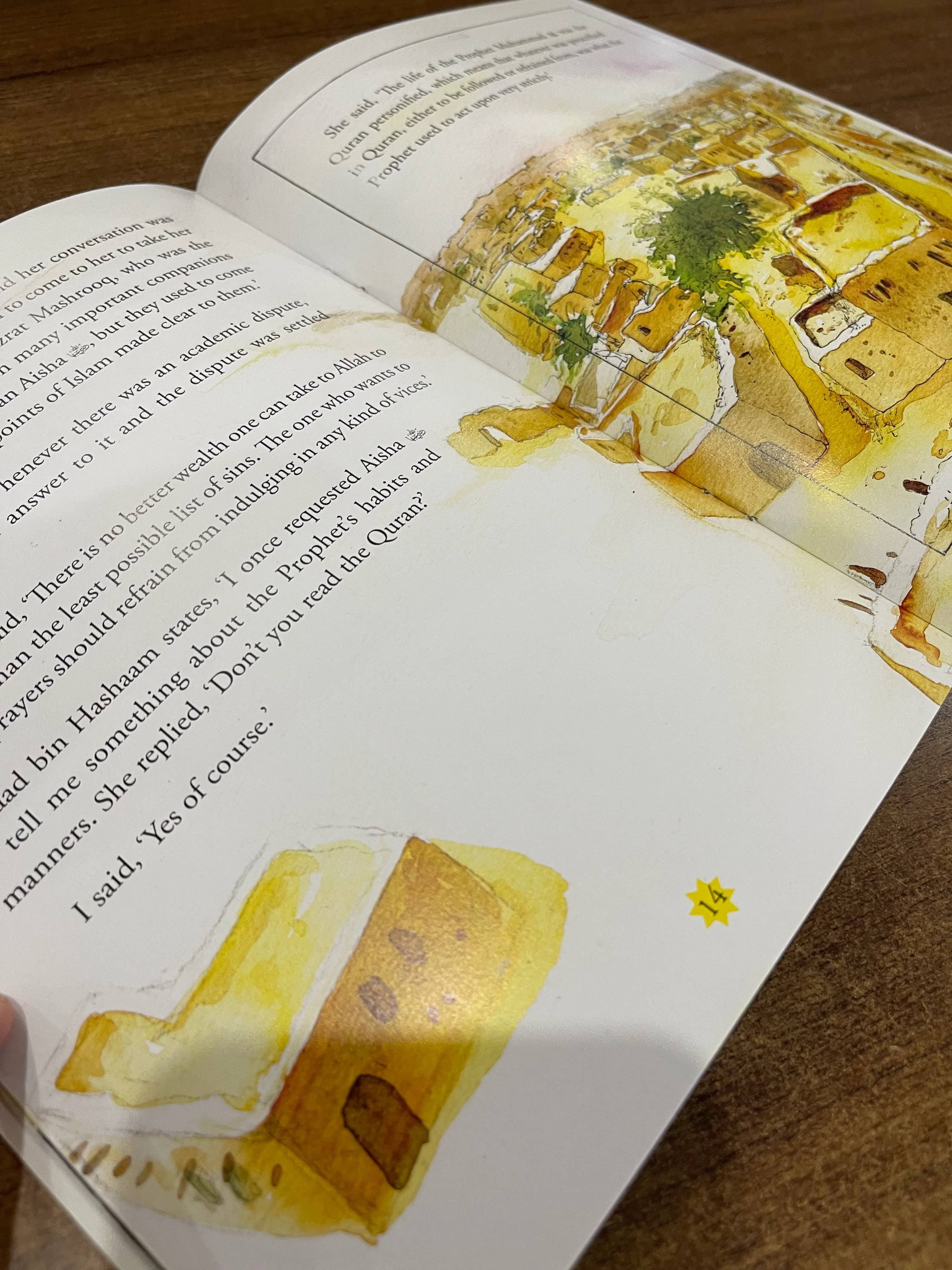 The Story of Aisha Siddiqa - Image 2