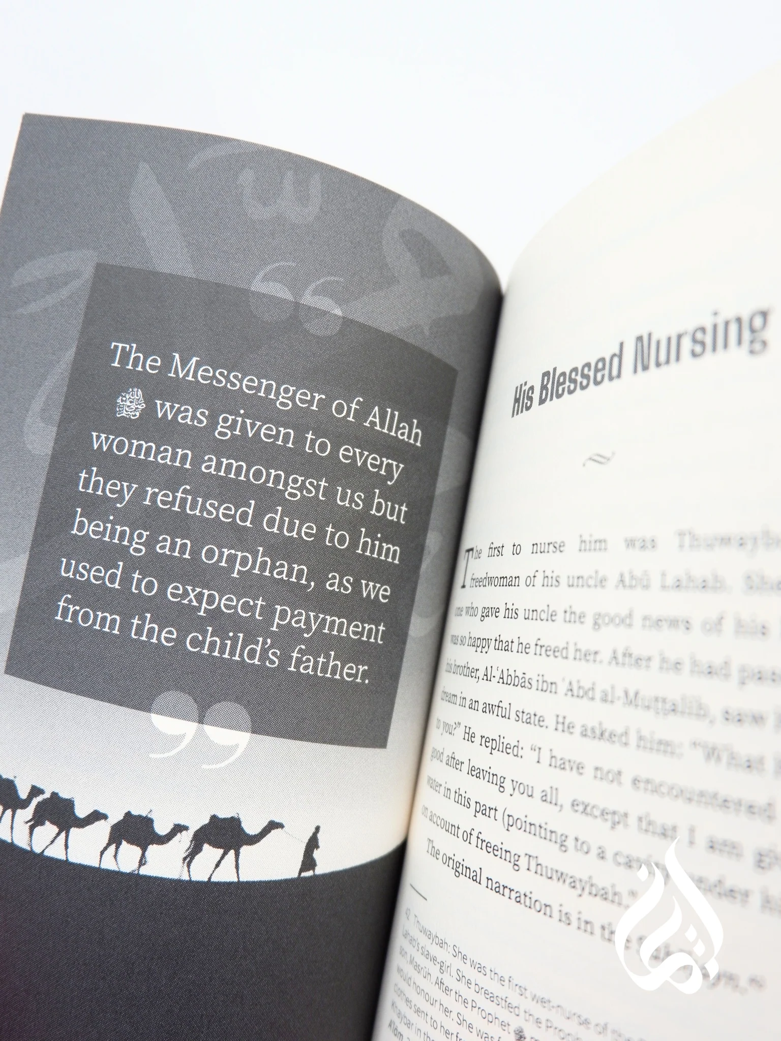 The Story of the Blessed Birth of the Prophet Muhammad (PBUH) &  His Blessed Nursing - Image 4