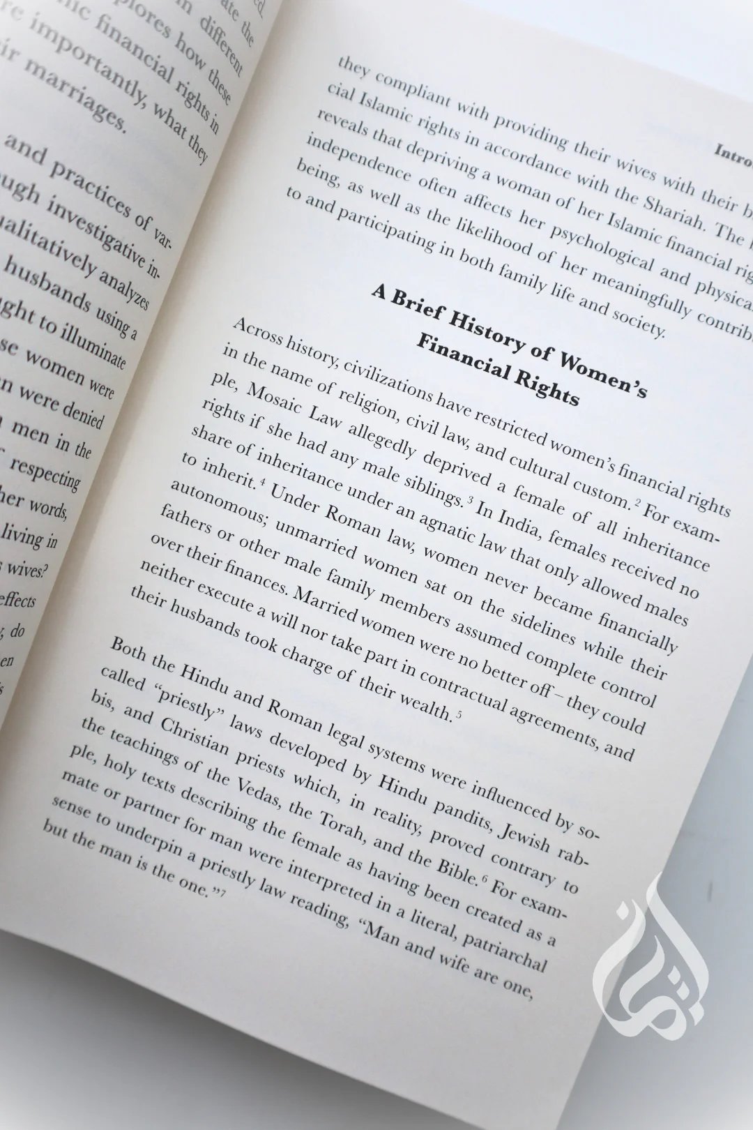 The Wealth of Women: Understanding Islamic Financial Laws - Image 3