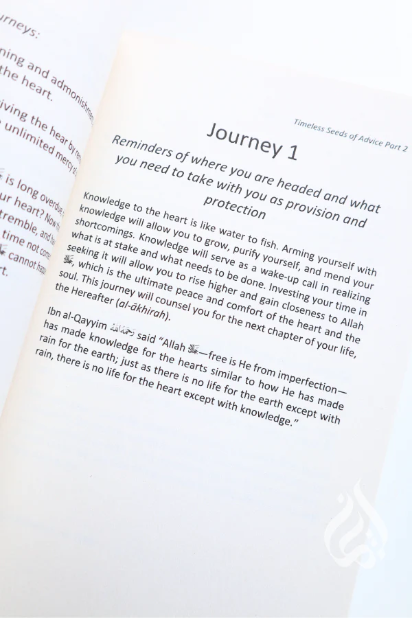 Timeless Seeds of Advice Part 2: A Deeper Reflection - Image 3