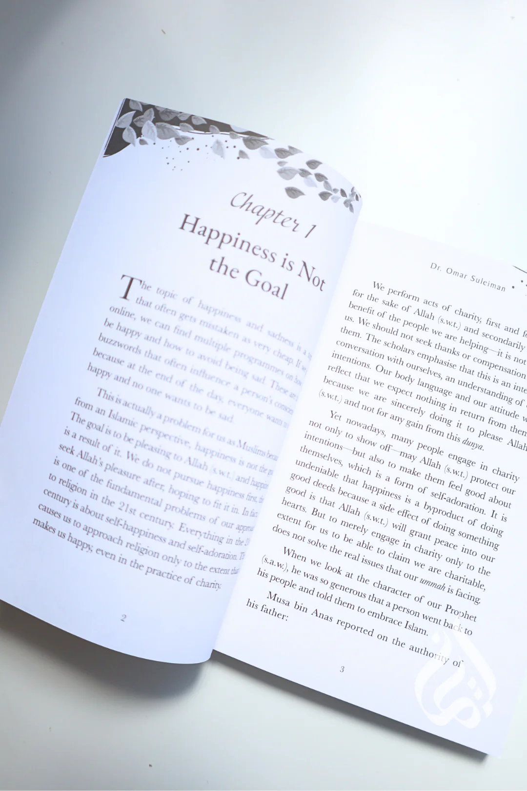 When Life Hits Hard: Lessons of Happiness & Sadness in the Qur'an by Omar Suleiman - Image 3