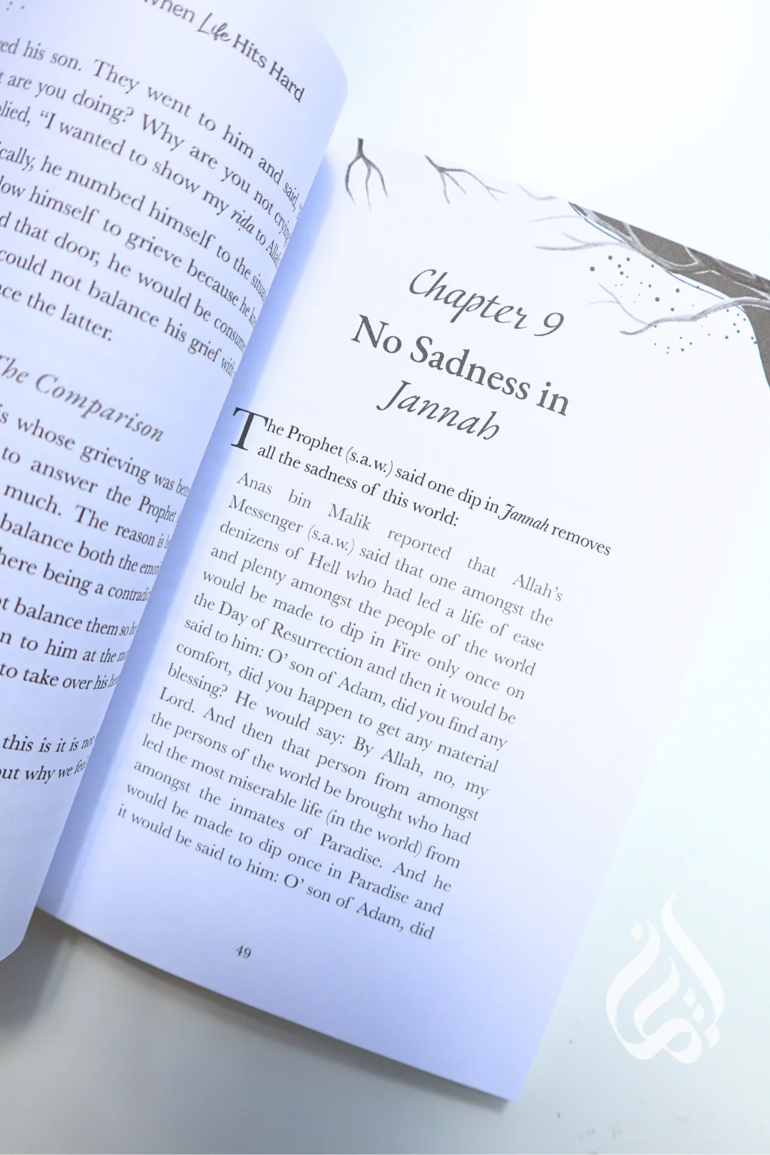 When Life Hits Hard: Lessons of Happiness & Sadness in the Qur'an by Omar Suleiman - Image 6