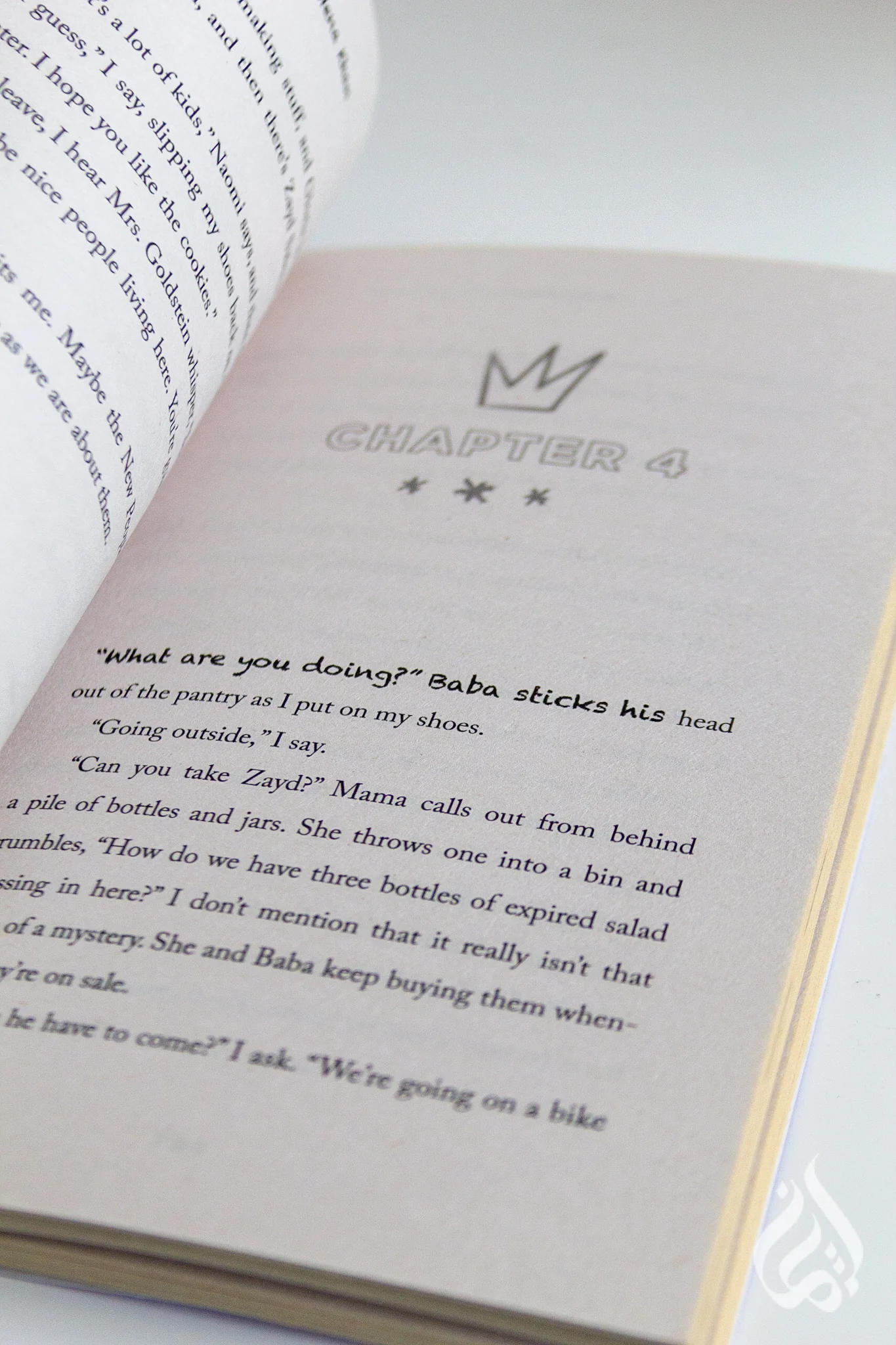 Zara's Rules for Record-Breaking Fun (Zara's Rules #1) - Image 2